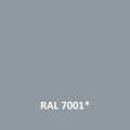 RAL 7001.jpg