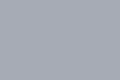 RAL 9006.png